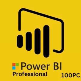 PowerBI Professional Vitalicio Professional - Pro NFE